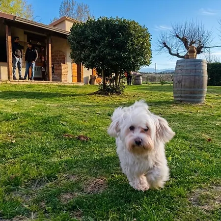 Borgo Le Mimose Private Estate In Umbria With Pool And Restaurant Holiday home *