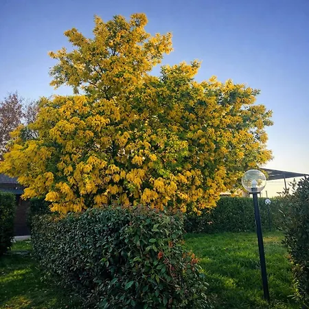 Casa de Férias Borgo Le Mimose Private Estate In Umbria With Pool And Restaurant