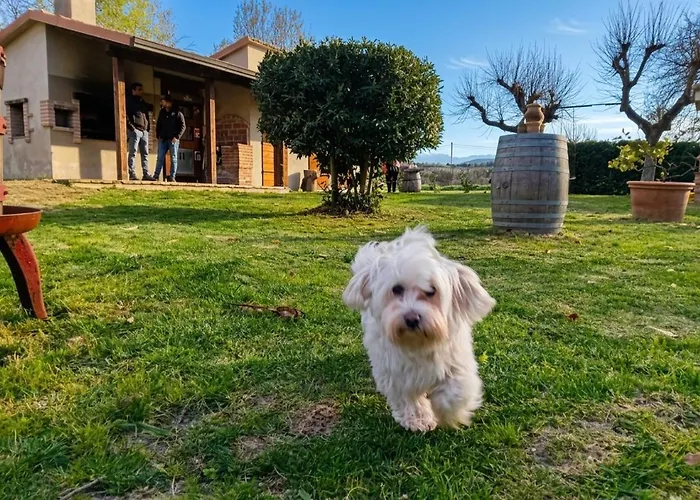 Borgo Le Mimose Exclusive 40-guest Private Estate In Umbria With Pool Vakantiehuis *