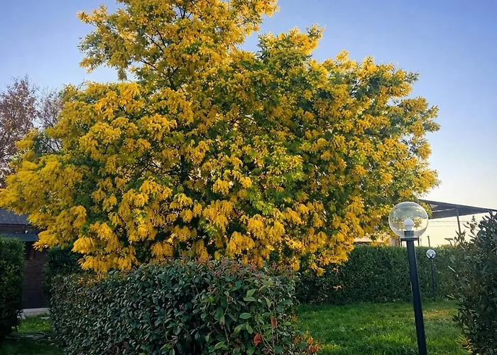 Holiday home Borgo Le Mimose Exclusive 40-guest Private Estate In Umbria With Pool